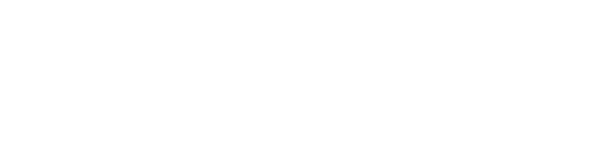 Apollo Optical-LOGO-WHITE v2-1-1